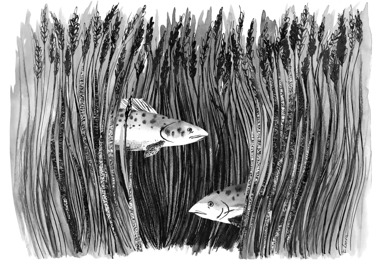 Mixed-media animation